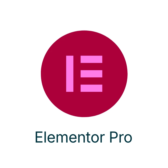 Elementor Pro